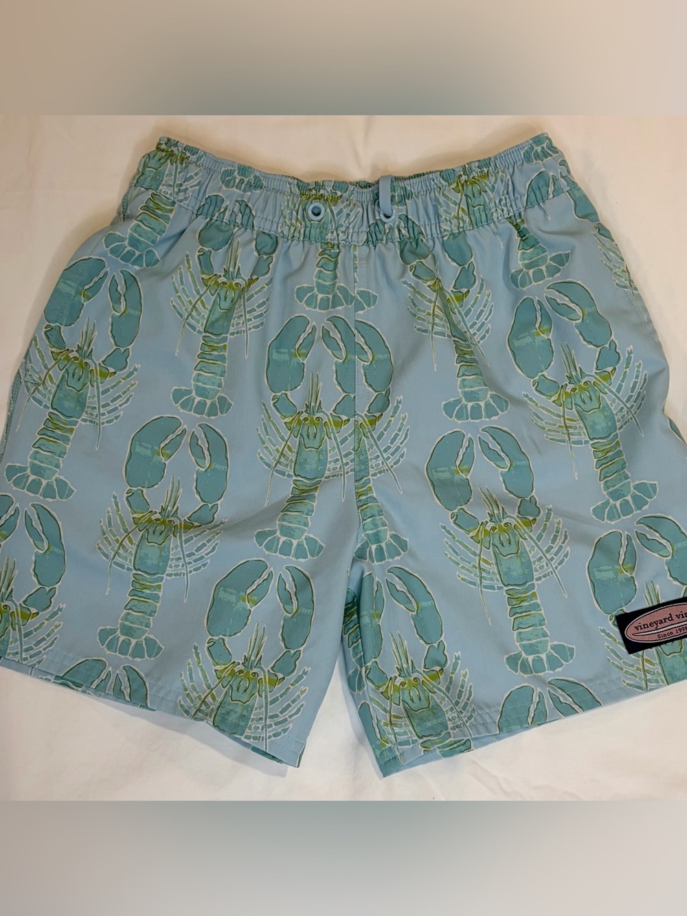 Vineyard Vines Chappy Lobster Swim Trunks in Blue/Green Boys Sz S EUC